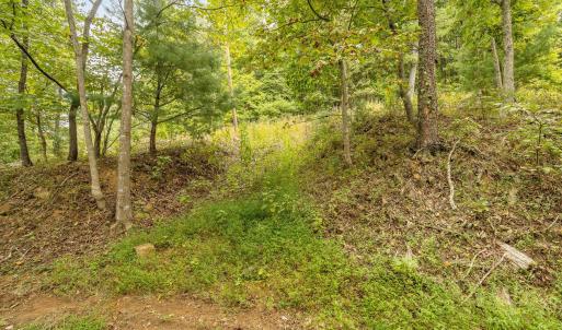 20-LOT 0 Willow Branch Rd_20