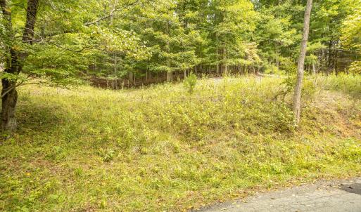 21-LOT 0 Willow Branch Rd_21