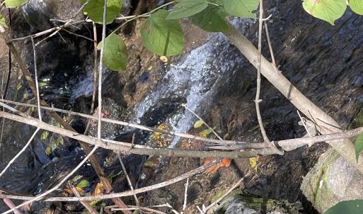 Photo Oct 23 2025, 2 37 35 PM