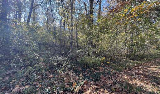 Photo Oct 23 2025, 2 41 41 PM