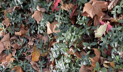 Photo Oct 23 2025, 2 50 44 PM