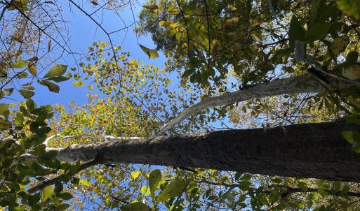 Photo Oct 23 2025, 2 53 47 PM