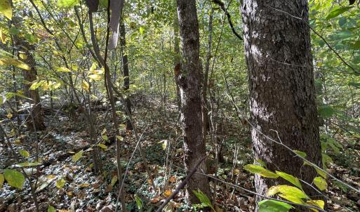 Photo Oct 23 2025, 2 59 11 PM