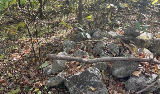 Photo Oct 23 2025, 3 05 17 PM