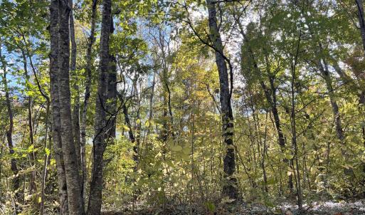 Photo Oct 23 2025, 3 12 08 PM