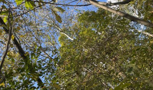 Photo Oct 23 2025, 3 00 50 PM