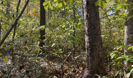 Photo Oct 23 2025, 3 01 47 PM