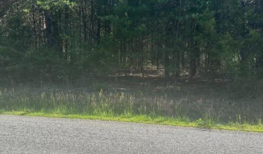 Photo #3 of 13615 BLACK MEADOW RD, SPOTSYLVANIA, VA 10.3 acres