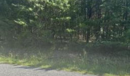 Photo #4 of 13615 BLACK MEADOW RD, SPOTSYLVANIA, VA 10.3 acres