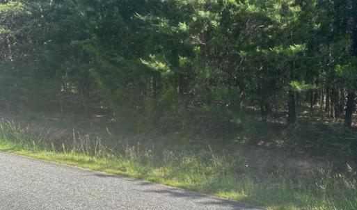 Photo #5 of 13615 BLACK MEADOW RD, SPOTSYLVANIA, VA 10.3 acres