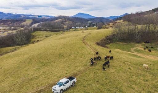 DJI_20260114150637_0740_D