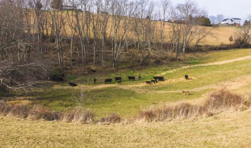 DJI_20260114143645_0689_D