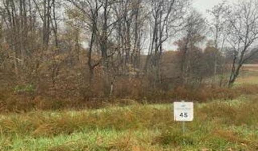 e7706f9b-47ef-4679-87f3-0d2f3392a391