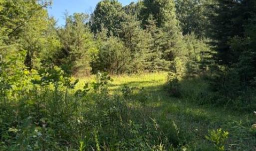 Photo #2 of GOLD DALE RD, LOCUST GROVE, VA 2.3 acres