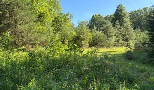 Photo #3 of GOLD DALE RD, LOCUST GROVE, VA 2.3 acres