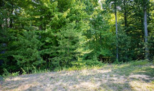 Lot 1 Sweetbriar Bay Dr-1