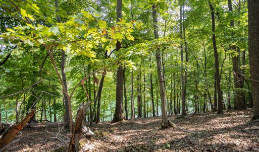 Lot 1 Sweetbriar Bay Dr-4