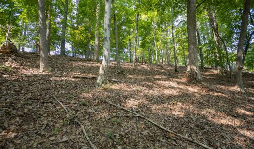 Lot 1 Sweetbriar Bay Dr-6