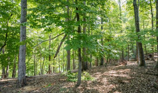 Lot 1 Sweetbriar Bay Dr-2