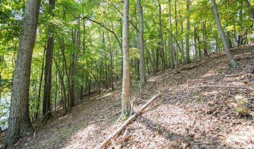 Lot 1 Sweetbriar Bay Dr-8