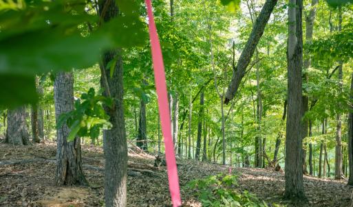 Lot 1 Sweetbriar Bay Dr-10