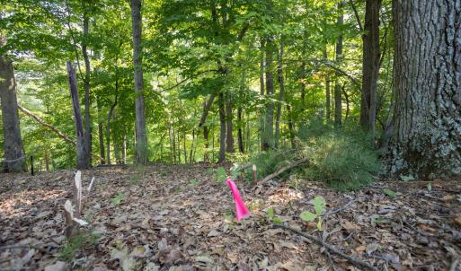 Lot 1 Sweetbriar Bay Dr-11