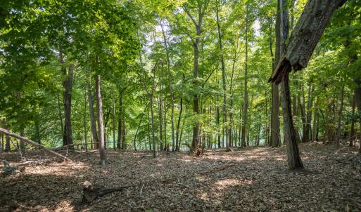 Lot 1 Sweetbriar Bay Dr-3