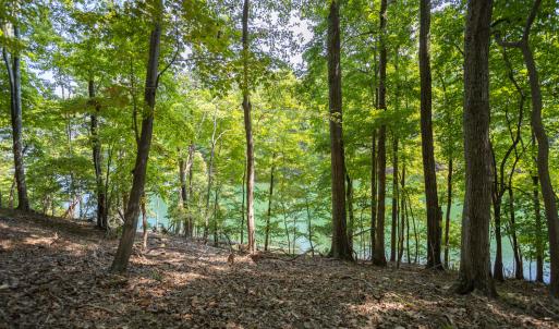 Lot 1 Sweetbriar Bay Dr-5