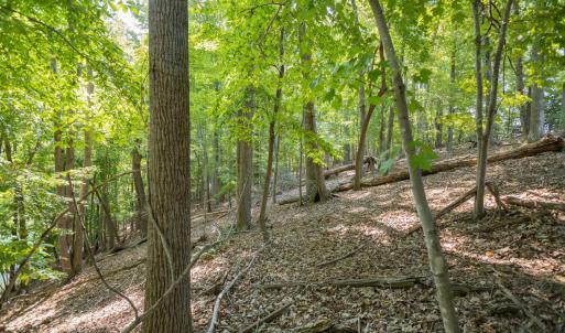 Lot 1 Sweetbriar Bay Dr-9