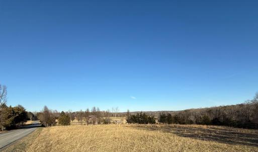 IMG_1810 cropped