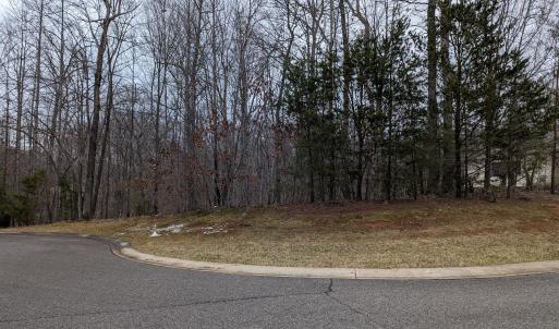 PXL_20240123_220203366