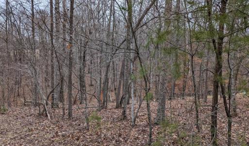 PXL_20240123_220250067