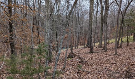 PXL_20240123_220304073