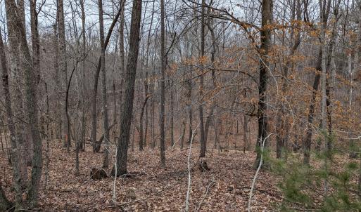 PXL_20240123_220307321