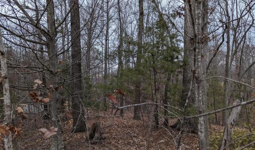 PXL_20240123_220403214