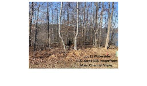 Lakewatch Plantation - Lot 29 1.51 Acres