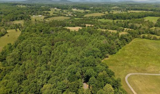 Photo #6 of 4266 INDIAN RUN RD, AMISSVILLE, VA 90.7 acres