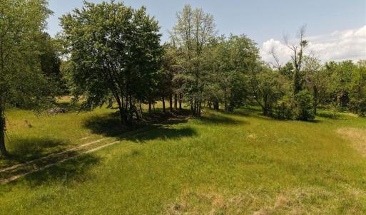 Photo #12 of 4266 INDIAN RUN RD, AMISSVILLE, VA 90.7 acres