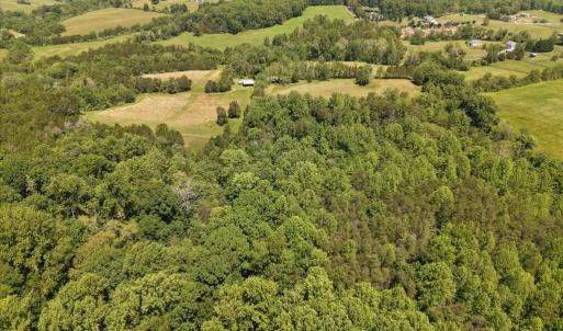 Photo #16 of 4266 INDIAN RUN RD, AMISSVILLE, VA 90.7 acres