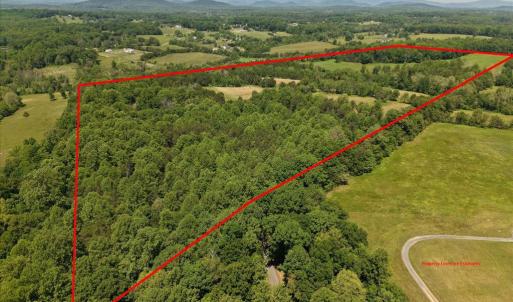Photo #1 of 4266 INDIAN RUN RD, AMISSVILLE, VA 90.7 acres