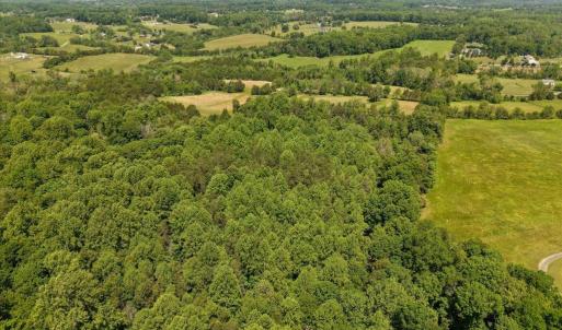 Photo #15 of 4266 INDIAN RUN RD, AMISSVILLE, VA 90.7 acres