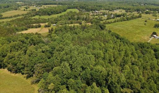 Photo #14 of 4266 INDIAN RUN RD, AMISSVILLE, VA 90.7 acres