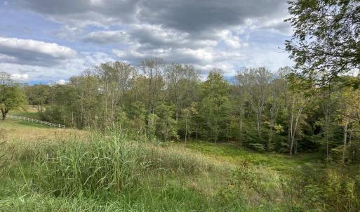 Lot 27 Plybon Lane, Wirtz, VA
