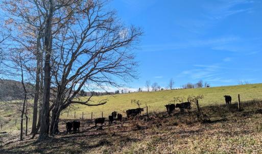 PXL_20241113_173131181~2