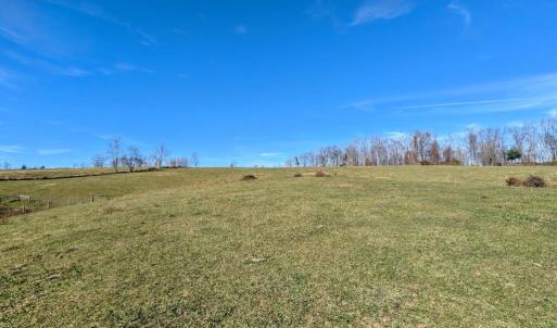 PXL_20241113_174023184~2