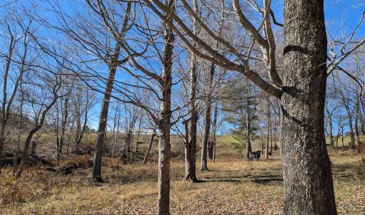 PXL_20241113_173035350