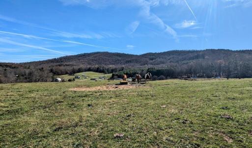 PXL_20241113_173659084~2