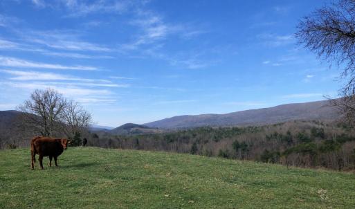 5ead5988-94c0-40d0-9f82-f441727c0106