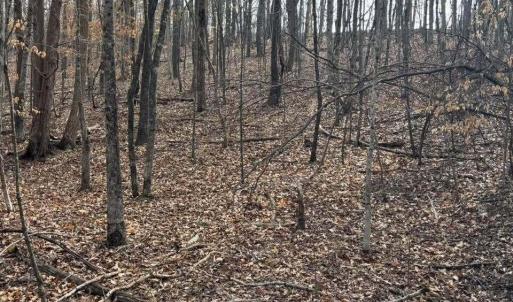 628348470_34317513484506685_703753211939