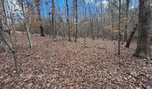 627056564_2764554050550134_3193530806056